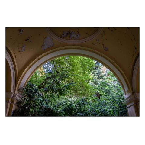 The photo shows an arch at the end of a corridor leading to the inner courtyard of an old house. I photographed the upper third of the arch, so only the foliage of the trees in the courtyard is visible.