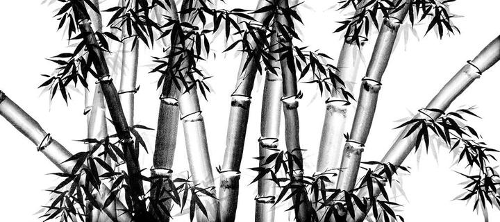 Bamboo Chinese Art is a painting in traditional Chinese free style (Xie Yi) technique with ink and water color on Xuan rice paper.