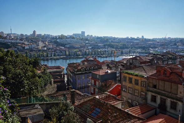 The image captures a scenic view of Porto, Portugal, from what appears to be the Miradoura da Vitoria. The foreground is dominated by the red-tiled rooftops of traditional Portuguese buildings. The Clérigos Church spire rises prominently in the middle distance, a notable landmark in the city's skyline. The iconic Dom Luís I Bridge spans the Douro River, connecting Porto with Vila Nova de Gaia. The river reflects the clear blue sky, adding depth to the urban landscape. The overall view presents a vibrant and historic cityscape, typical of Porto.