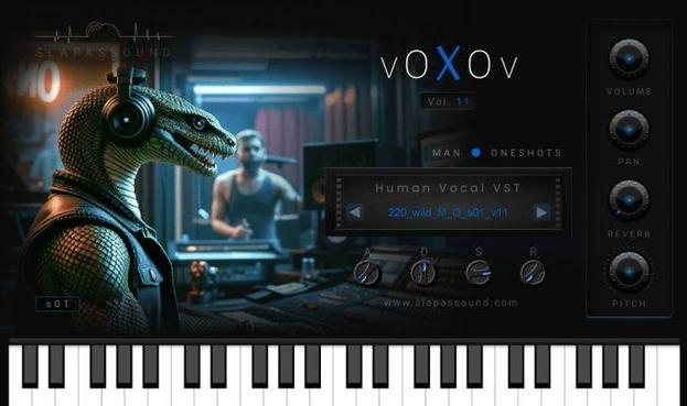 SlapAsSound VoXoV Vol 11
