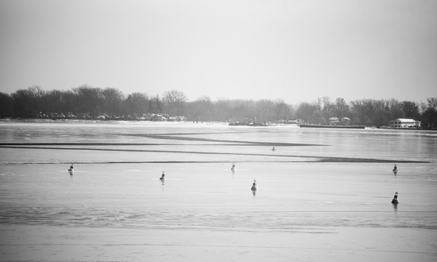 A black and white photograph of Toronto Harbour with some of the Wards Island cottages showing through the bare trees. A gap in the ice forms a large zigzag across the water and a phalanx of hazard buoys warns of the airport in the foreground.