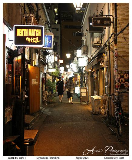 Image of two young men walk down a brightly lit and narrow alley in Shinjuku, Japan at night. There are several bars and resturants on each side written in English or Kanji/Hiragana (Japanese language). The closest sign in the image brightly reads "Death Match In Hell" on the left and is believed to be a bar or restaurant. The mood of the images feels lively and exciting similar to night life in major cities. There is text in the image stating "Amah's Photography @curious_amadeus@pixelfed.social", "Canon R6 Mark II Sigma Lens 70mm F2.8 May 2025 Cox Arboretum, Dayton, Ohio United States.
