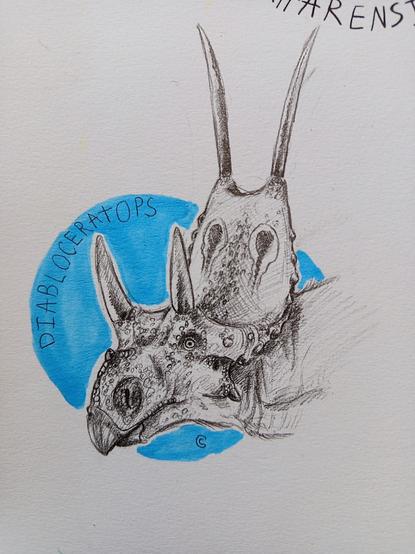 Diabloceratops sketch