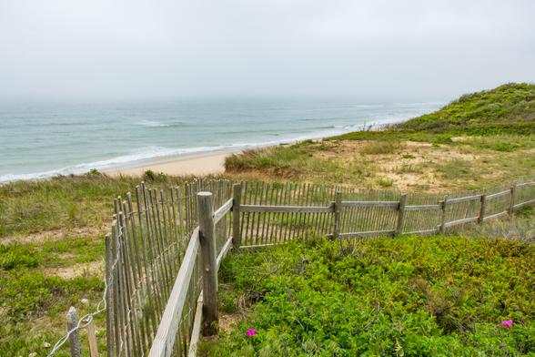 Looking down to the beach. Fog obscures the horizon. A dune fence and beach roses in the foreground.
© Tom Goetz. All rights reserved. Training an AI on this image is expressly forbidden.