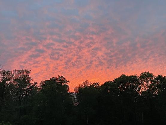 A vibrant sunset with shades of pink and orange streaking across a sky filled with soft clouds. Silhouetted trees form a dark outline at the bottom of the image.