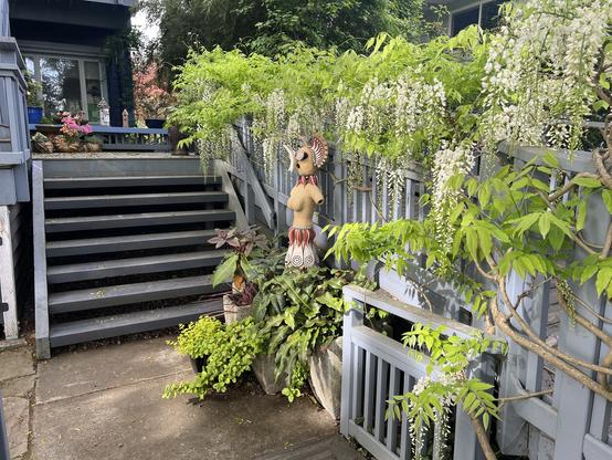 View from the ramp of the same huge vine. A set of stairs faces the viewer and the railing of the level above it is draped with the flowering vine. A large ceramic figurative sculpture sits in the center of the photo, framed by the flowering vine.