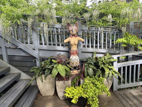 Frontal view of the sculpture and the large containers that flank it. They contain exotic looking plants with long leaves (pyrrosoa ferns) and some ceanothus and a couple large leaves rhododendron seedlings.