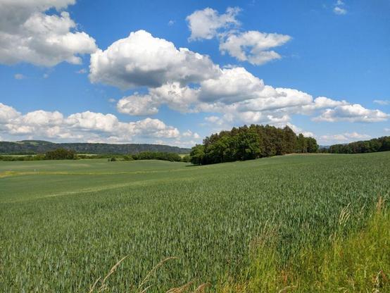 Landschaftsbild aus der sächsischen Schweiz. Grüne Felder, Wälder und Berge. Sehr viele verschiedene Grüntöne. Dazu blauer Himmel mit schönen weißen Wolkenformationen.
