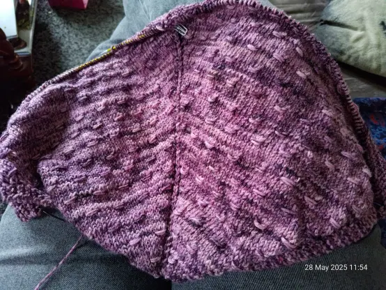 Photo of an in-progress knitting project draped over my lap: it's a pink-purple shawl with a periodic pattern of smocked pips/warts across the body. The yarn colour goes randomly from dark bruised purple to a lighter bruised pink, and the smocked stitches are usually a slightly different colour from the knit stitches immediately next to them, due to this variation in colour. I'd say it's about 15 inches across at the moment, and it's only going to get bigger