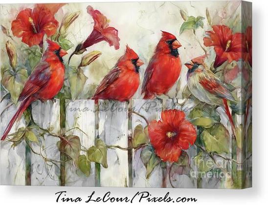 This a canvas of four pretty northern cardinal birds perched on a garden fence full of hibiscus flowers.