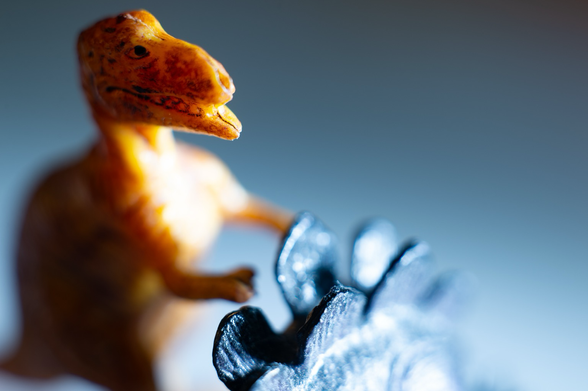A macro photograph of toy dinosaurs: an orange t-rex looms over the back of a black stegosaurus.