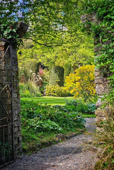 A vibrant green garden viewed through a partially open, ornate metal gate set within old stone walls. A gravel path leads into the lush garden, which features manicured green lawns, various shrubs, and trees with bright yellow blossoms. The scene suggests a secret or hidden garden, full of natural beauty and tranquility.
