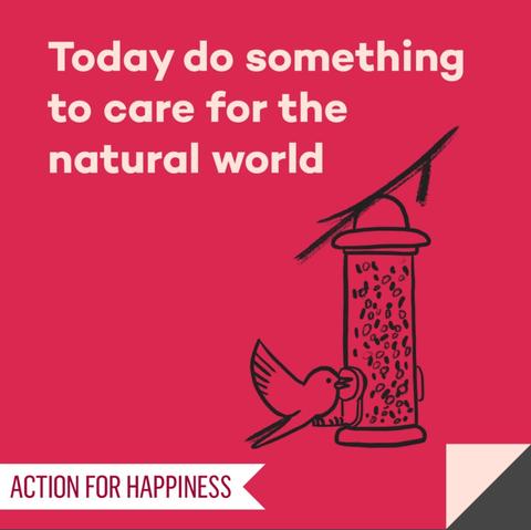 Today do something to care for the natural world
