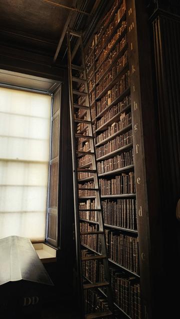 A tall, dark wooden ladder leans against an immense bookshelf filled with old, leather-bound books in a dimly lit library. To the left, a large window with a white blind lets in soft, natural light, illuminating a section of a dark wooden table or desk. The overall mood is one of quiet contemplation and historical grandeur.