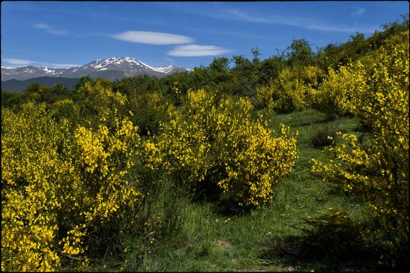 CAT
Si de sobte tot s'il·lumina
és que el vent fresc de primavera
envaeix els cims i les valls.
Aleshores, lentament,
el temps escriu tos el colors
melangiosos del matí

OC
Se d'un còp tot s'aluca
es perque lo vent fresc de prima
envasís los puèges e las vals.
Puèi, lentament,
lo temps escriu tota la malenconia
colors del matin