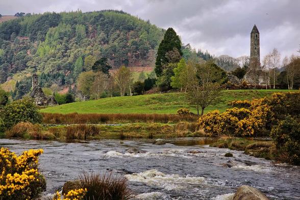 A wide-angle shot of the Glendalough monastic site in County Wicklow, Ireland, with a fast-flowing river in the foreground. On the far bank, a vibrant green field leads up to two ancient stone structures: a prominent, tall round tower on the right and a smaller ruined building to the left. Beyond the field, a lush, forested mountain rises under a dramatic, cloudy sky. Bright yellow gorse bushes dot the riverbanks, adding a splash of colour.