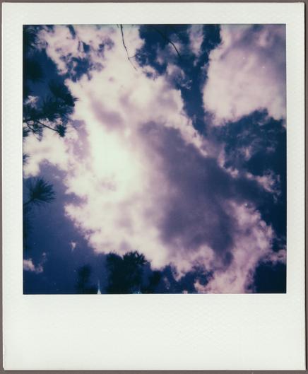 Polaroid looking straight up at a mass of clouds lit by a bit of sun at the left against a dark blue sky, silhouettes of treetops around the edges.