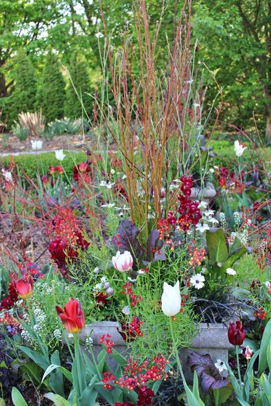 Cement container with red, purple, and white blooms and green and red foliage surrounded by red and white flowers in the flower bed. Another similar planter and beds are behind it with a trimmed hedge and path beyond. There is another line of beds with assorted plants beyond the path and a line of trees behind them.