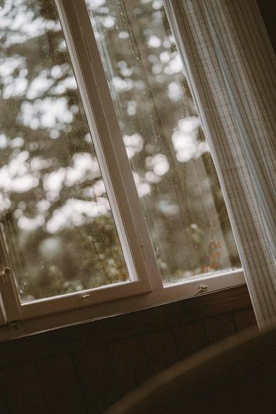 A moody photo of an angled view on an old window with a blurry tree outside
