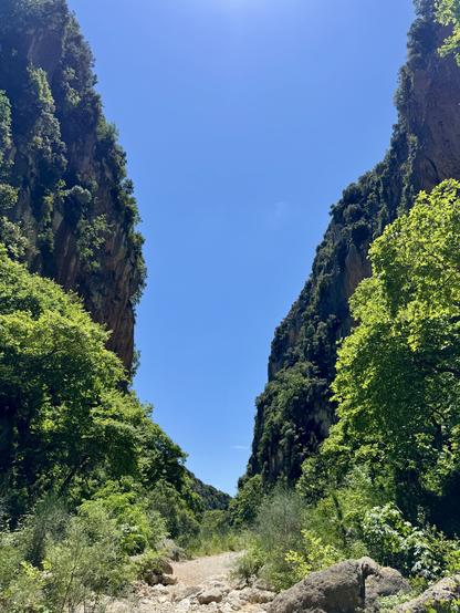 A sky-blue “V” between the green of the canyon walls