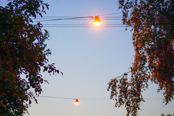 Zwei orange leuchtende Straßenlampen hängen an Stromleitungen zwischen herbstlich belaubten Bäumen vor einem klaren Himmel in der Dämmerung.