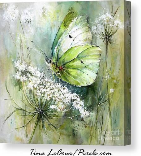 This is a canvas of a pretty green butterfly perched on a queen anne lace flower
