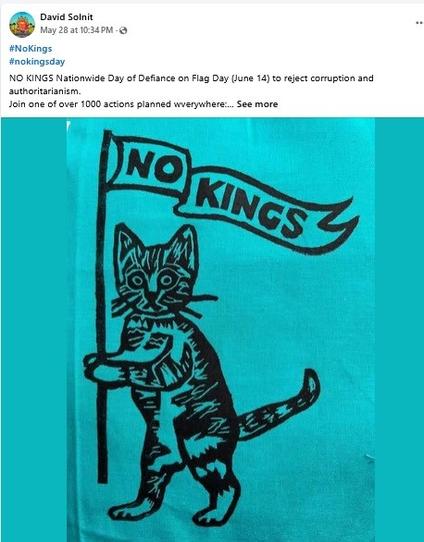 Drawing of a cat, on its hind legs, carrying a banner that reads: No kings, against a blue background. 

Posted by David Solnit