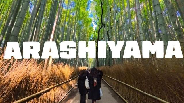 ARASHIYAMA BAMBOO FOREST, KYOTO WALKING TOUR