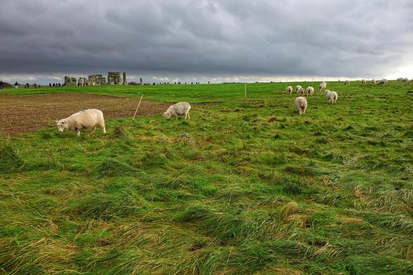 A wide shot under a cloudy sky shows Stonehenge in the mid-ground, surrounded by a vast, undulating green field where several sheep graze. The foreground is dominated by long, lush green grass. To the left, some patches of bare earth are visible. People can be seen as small figures near the stone circle.