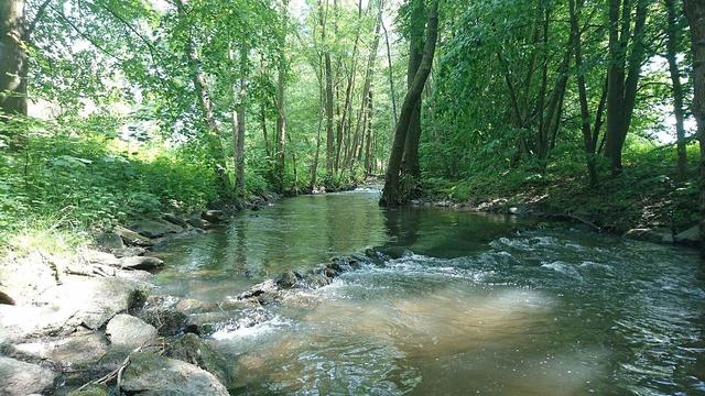 Die Elsava in Elsenfeld (ca. 1 km vor dem Ortskern) auf dem Weg zum Main; Abschnitt im LSG innerhalb des Naturparks Spessart (ehemals Schutzzone); Naturpark Bayerischer Spessart
(Bild: Wikimedia Commons, 2017, CC-BY-SA, Michaelrl)