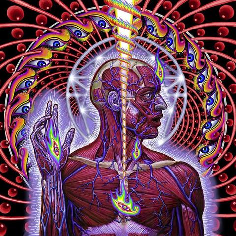 Artwork from the album Lateralus by TOOL. Looks like an anatomical diagram of a human. No skin, but showing the underlying musculature. Meanwhile their head is surrounded by a ring of mystical imagery. Lots of eyeballs.
