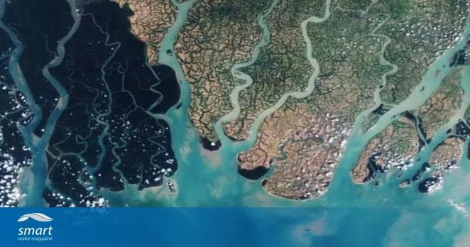 Sentinel-2A satellite image of the Sundarbans in Bangladesh.

Credit: European Space Agency