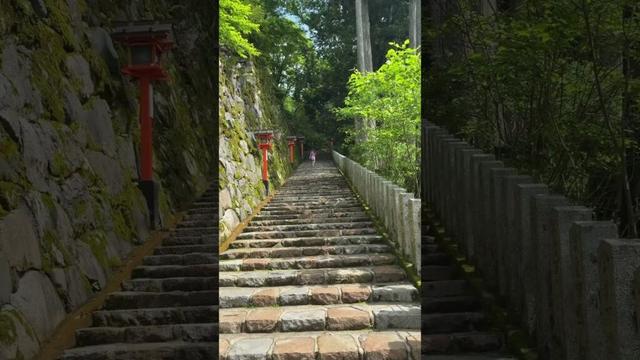 #kuramaderatemple #japan #kyoto #travel #adventure #nature #peaceful #walking