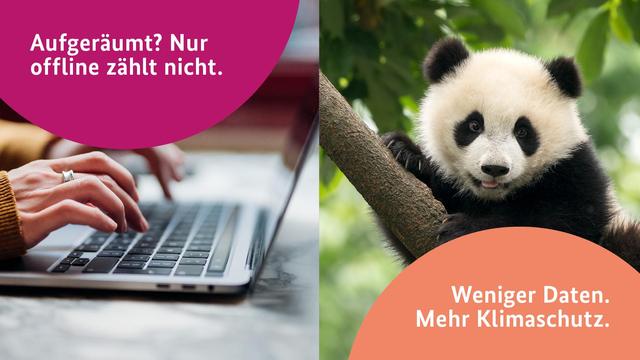 Aufgeräumt? Nur offline zählt nicht.
Weniger Daten. Mehr Klimaschutz.