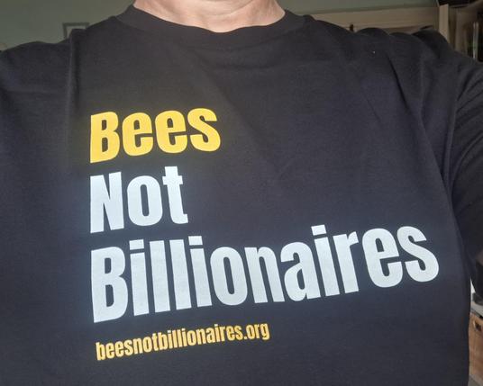 me wearing my new Bees Not Billionaires t-shirt