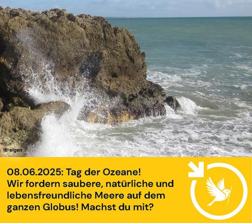 Ein lebhaft wildes Meer trifft auf eine felsige Küste.
Unter dem Bild der Text:
08.06.2025: Tag der Ozeane!
Wir fordern saubere, natürliche und lebensfreundliche Meere auf dem ganzen Globus! Machst du mit?
Unten rechts ist unser Logo: der Ulmer Spatz im Pfeilkreis von LocalZero. (Pfeilkreis bedeutet: Ein Kreis, an dessen oberer linken Seite ein Pfeil nach unten weist)