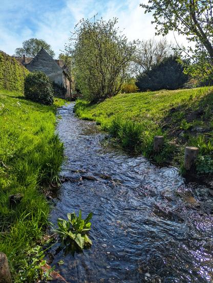 A clear stream, dappled with sunlight, flows towards the foreground through a lush green grassy bank on the right, and a slightly wilder, darker green bank on the left with a few small trees and shrubs. The water, reflecting the sky, has visible pebbles and rocks on its bed. In the background, partially obscured by trees, are the gabled roofs of old, light-coloured buildings. The sky is bright blue with scattered white clouds.