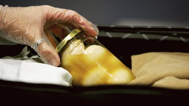 A border inspection for food in baggage. | Ian Waldie/Getty Images