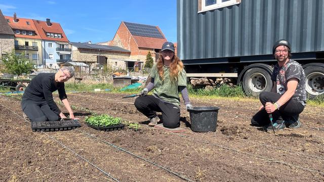 Drei Mitglieder der Solidarischen Landwirtschaft Schweinfurt bei der Arbeit auf dem Acker.