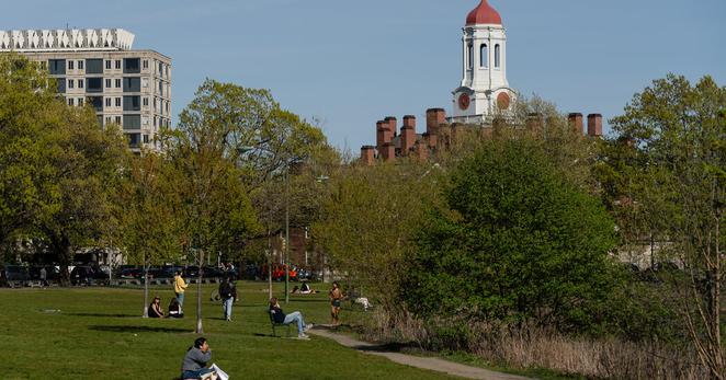 The Harvard University campus in Cambridge, Mass.