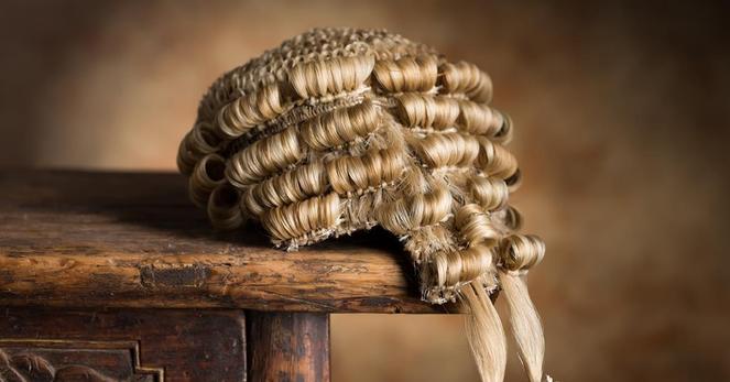 Barrister wig
