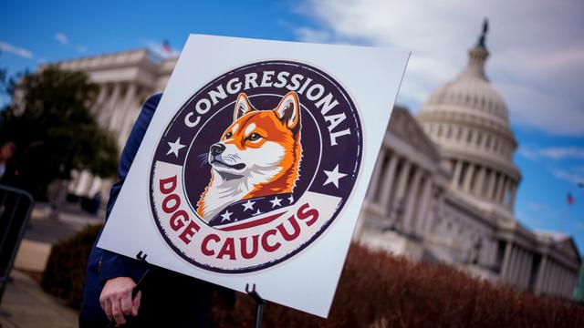 A sign that has an image of a dog and the text "Congressional DOGE Caucus," with the US Capitol Building in the background.