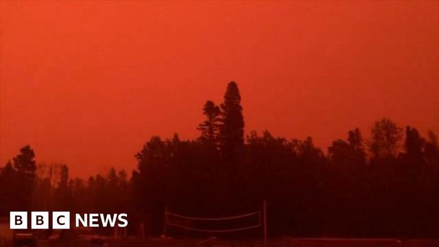 The sky is orange due to Canada's wildfires. The sky is orange due to Canada's wildfires.