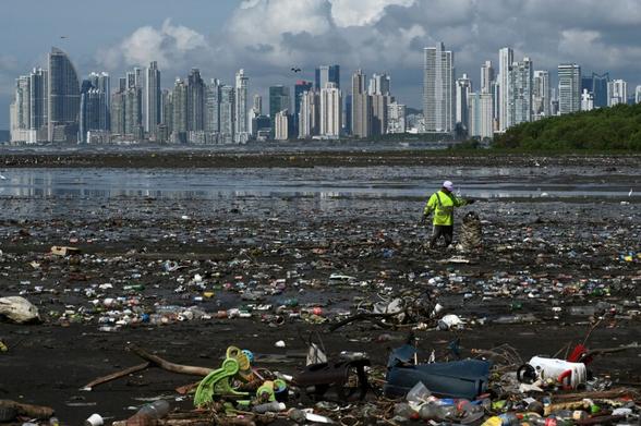 Every two weeks at the beach of Costa del Este, in Panama City, marine biology students descend about five meters in the sea to take care of a coral nursery of the staghorn species in Portobelo, Panama, with which they aim to restore reefs damaged by climate change and pollution. Credit: Luis Acosta/AFP via Getty Images.