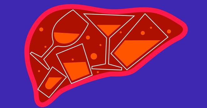 illustration of a liver with 5 partly filled beverage glasses inside