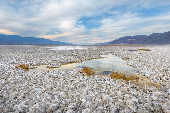 Pooling water in the salt crusts of Badwater Basin at Mormon Point, Death Valley National Park, California; February 2022.