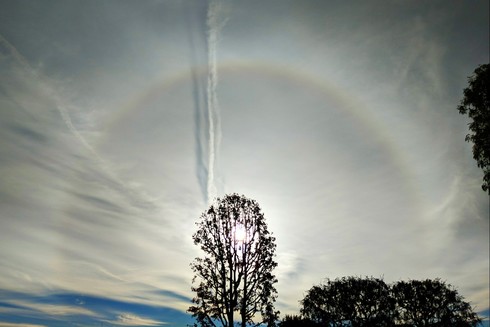 A layer of thin clouds is broken by a bright circle around the sun and the shadows of a contrail at another elevation.