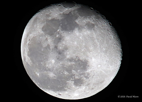 Tonight's Moon - Feb 10th, 2020
94.5% Illuminated

Asanuma 300mm Prime Lens - F 11 - ISO 200