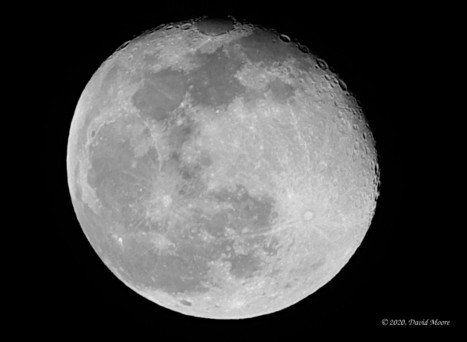 Tonight's Moon - Feb 10th, 2020
94.5% Illuminated

Tamron SP100-300mm DI VG USD Lens - F11 - ISO 200
