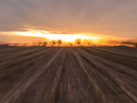 Maisstoppeln laufen in Linien bis zum Horizont, in den Sonnenuntergang hinein. Am Horizont eine Reihe Straßenbäume. Alles mit (bewusst) bewegter Kamera aufgenommen.